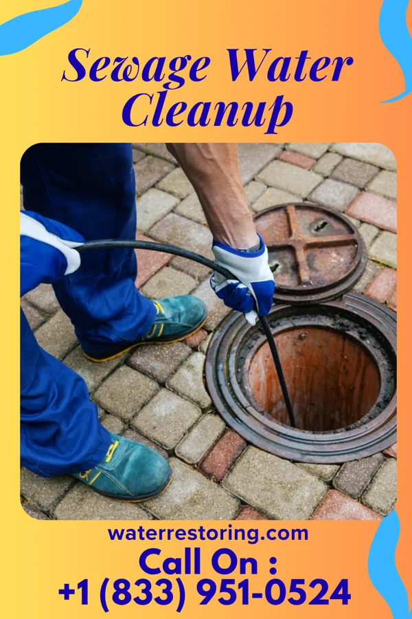 Sewage Water Cleanup in Pleasant View, KY